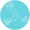 Connectivity image